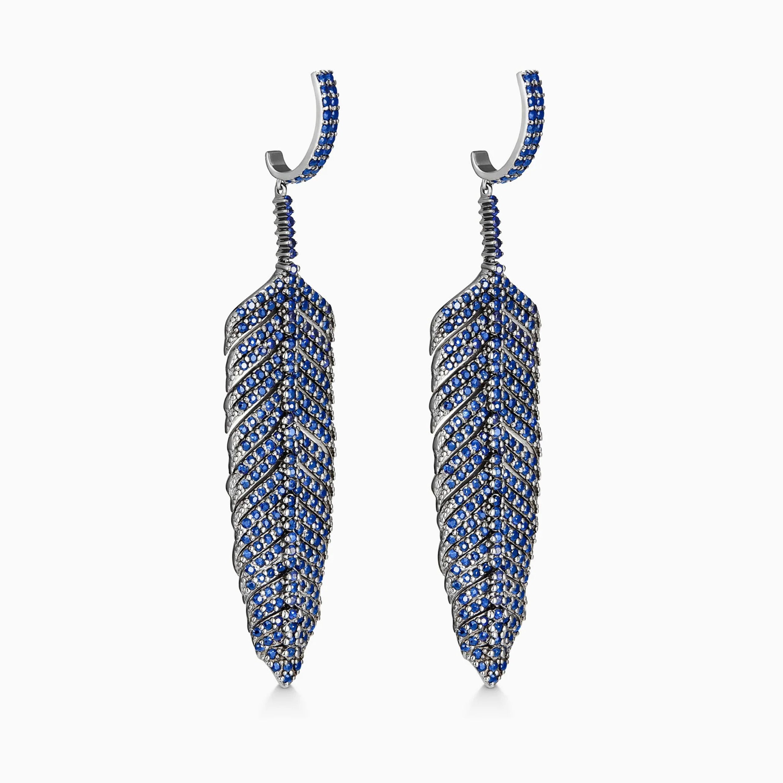The blue Brahe feathers