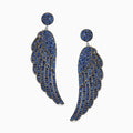 The blue Brahe wings