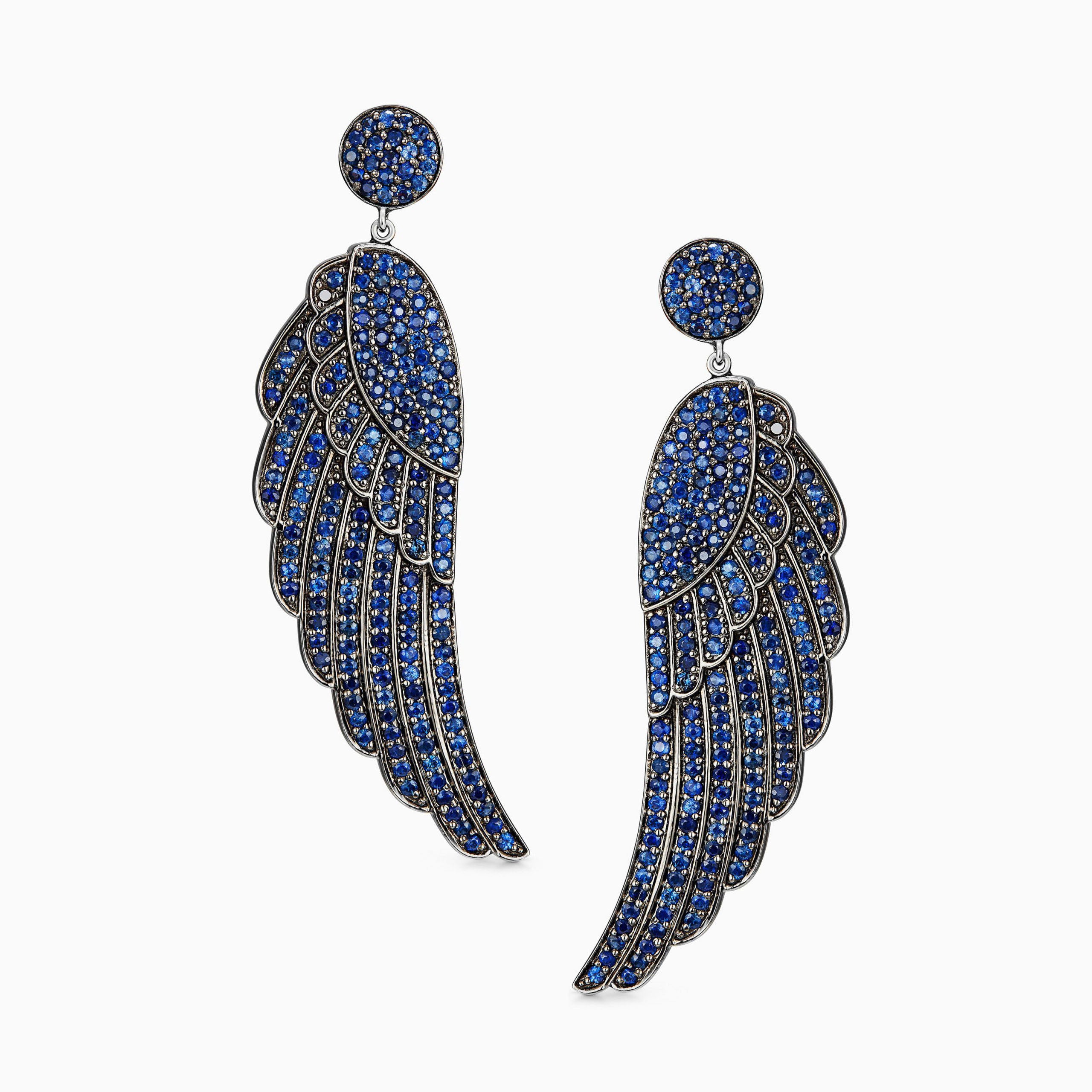 The blue Brahe wings
