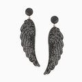The black Brahe wings