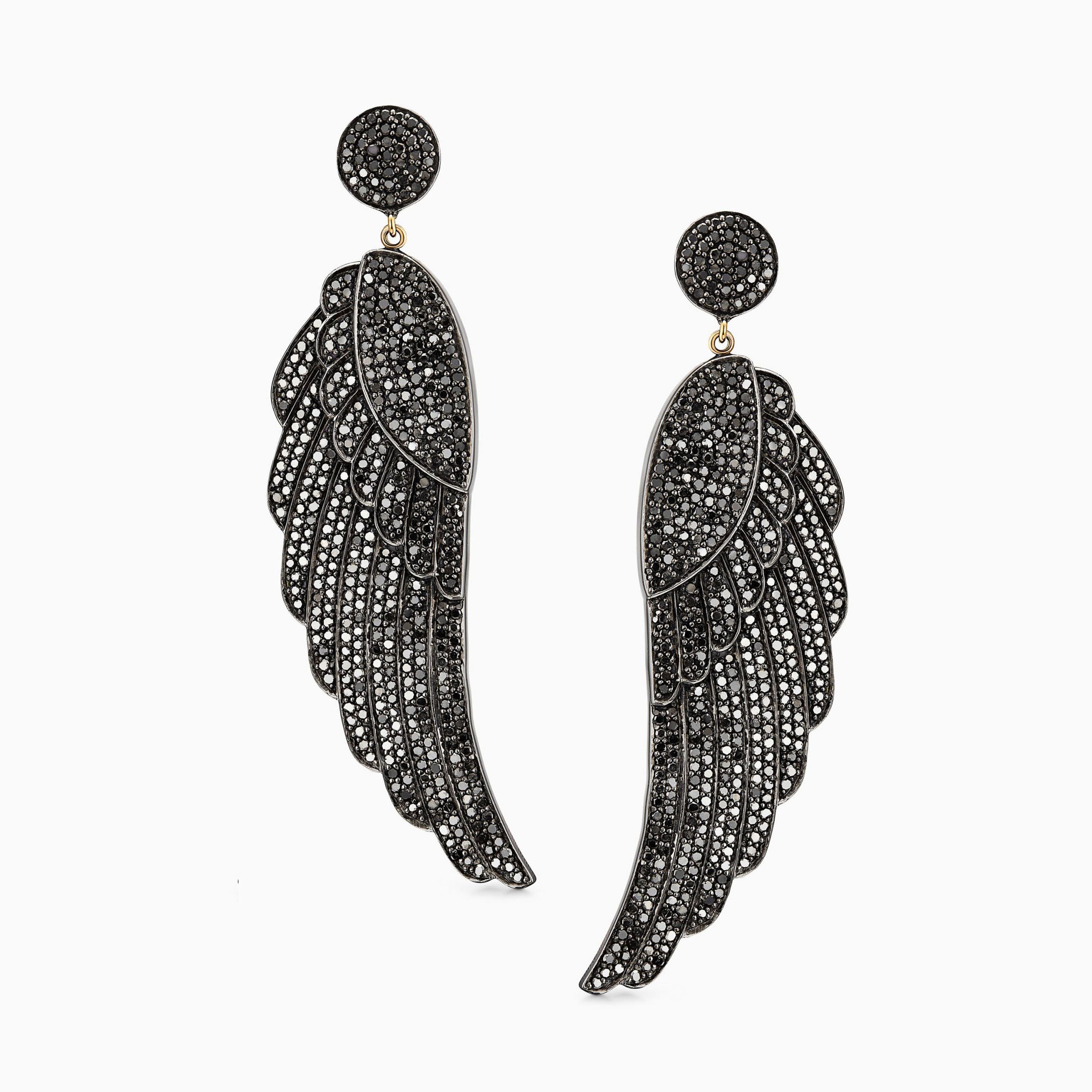 The black Brahe wings
